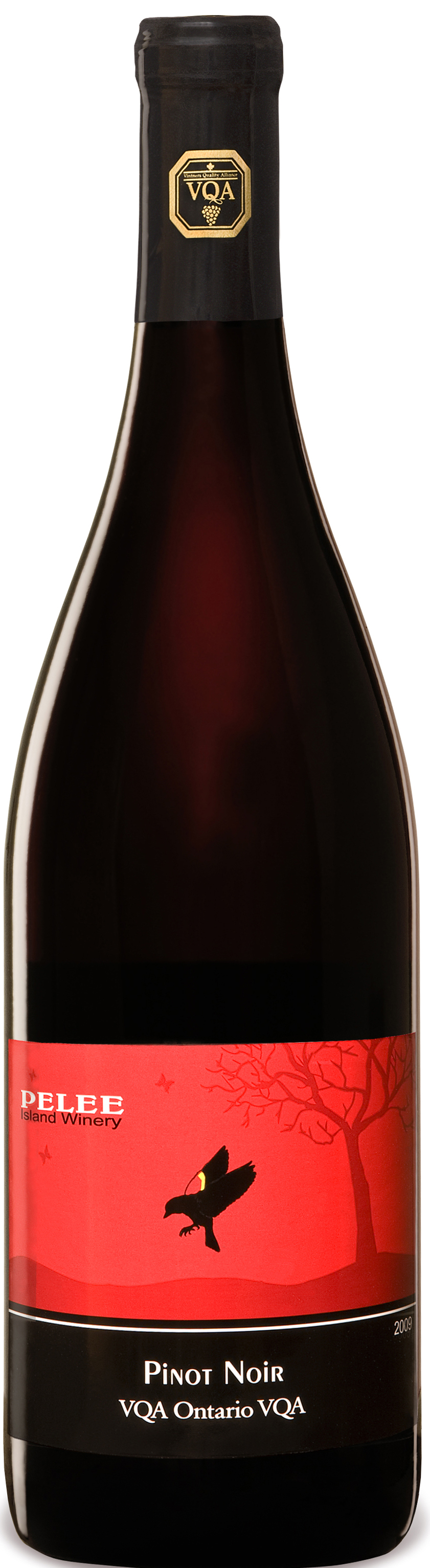 Pelee Island Winery Pinot Noir 2011 Expert Wine Review Natalie MacLean